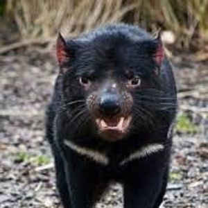 Meet your Posher, Jan